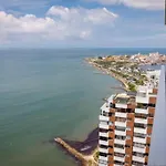 Palmetto